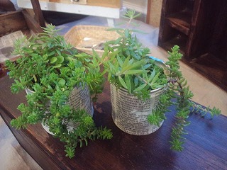 瀬田制作所さん、木工展、開催中です