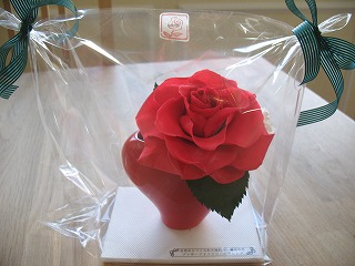 めえぷる納品情報 1月6日(火)