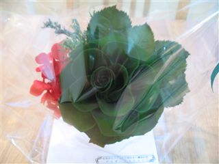 めえぷる納品情報~2/13