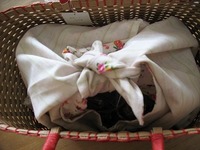 めえぷる納品情報~2/20