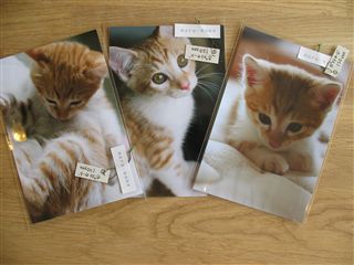 めえぷる”手作りの作品”紹介です