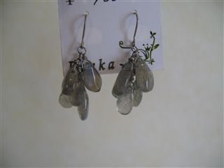 めえぷる納品情報5/23