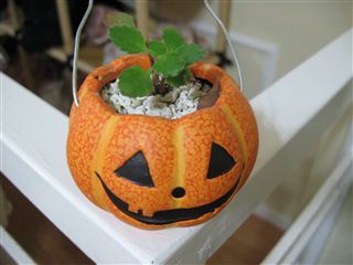フリーマーケット