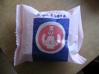 suinuiさんのあみぐるみレッスン