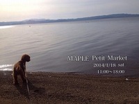 MAPLE Petit Market③