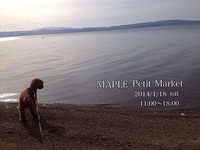 MAPLE Petit Market　ご案内①