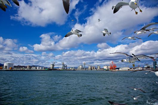 小名浜港クルーズ ふぇにっくす 《いわき観光名所》