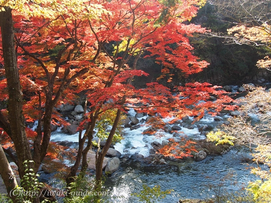 夏井川渓谷の紅葉