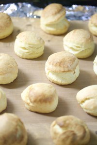 びすけっとパン*りんご酵母