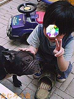 ▼o・ェ・o▼ いぬ。