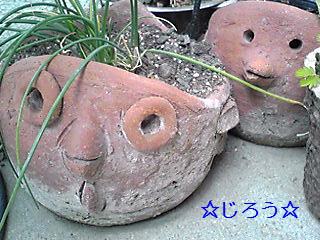 (・◇・) ぴよぴよ親子。