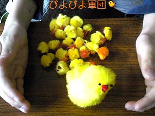 (σ▽σ)!!誕生日!!