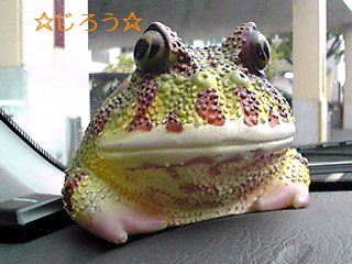 (・◇・) お供。