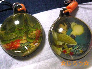 ( ^^)Y☆Y(^^ ) 本物♪