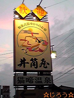 (。-∀-) 猫啼温泉♪