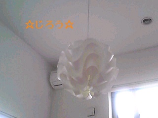 (^ω^;？ どうかな？