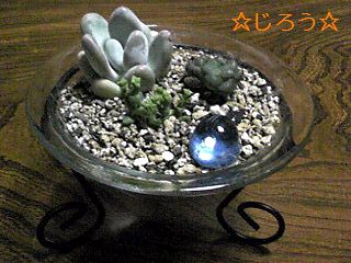 (*´∀｀*) 仲間入り♪