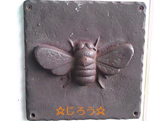 (;へ;) ‥辛い。。。