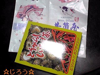 (￣▽￣;) 猫啼温泉。。。