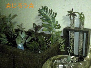 (* ̄∀ ̄) 部活動♪