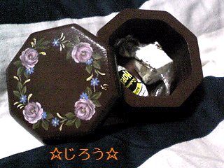 (* ̄w ̄) お呼ばれのお土産♪