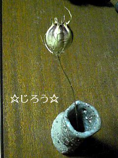 (・◇・) ばっぱちゃん作。