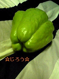o(・ω・`)o これって。。。