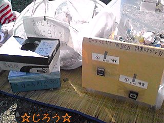 (o^ω^o) 頑張る♪