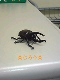 (´`) かかりつけ。。