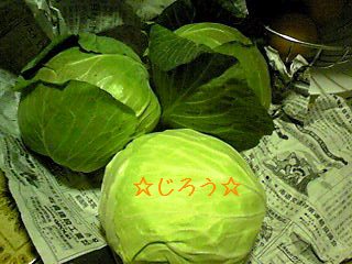(O.O;) ‥三昧。。。