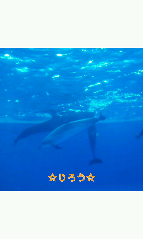 (´ω｀) あお。