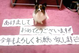 書初め