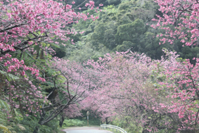 hello~~OKINAWA