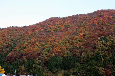 紅葉狩り女子トークな日