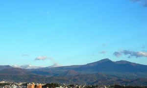 雪です・・・