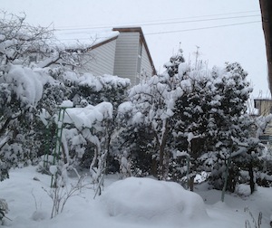 大雪。