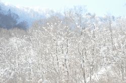 会津冬の旅