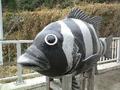 釣り人発見！！！