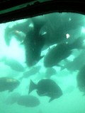 釣り人発見!!!