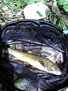 今年初の釣行！後編