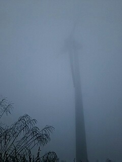 霧の布引高原・・・