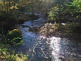 いい日だ！目の保養だ！紅葉だ！