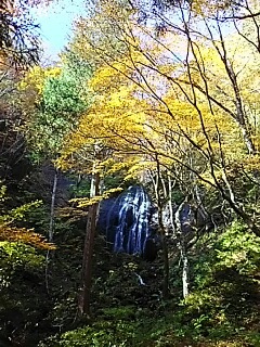 いい日だ！目の保養だ！紅葉だ！