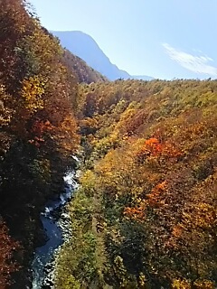 いい日だ！目の保養だ！紅葉だ！