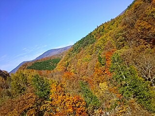 いい日だ！目の保養だ！紅葉だ！