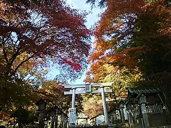 紅葉巡り