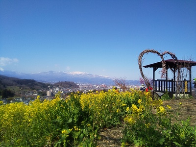 花見山～