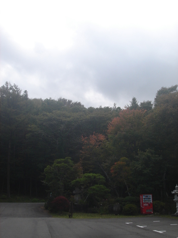 紅葉