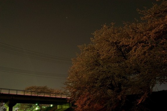 夜の藤田川