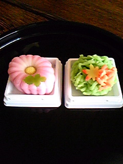 菊と紅葉(#^.^#)